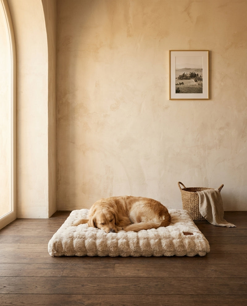 Pet Luxe